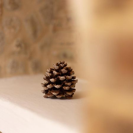 Agriturismo Santo Stefano Casalbordino Eksteriør bilde
