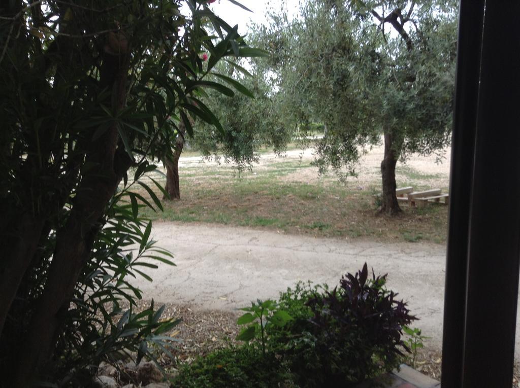 Agriturismo Santo Stefano Casalbordino Eksteriør bilde