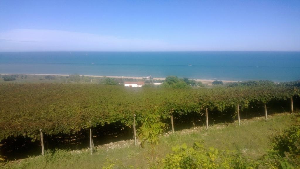 Agriturismo Santo Stefano Casalbordino Eksteriør bilde